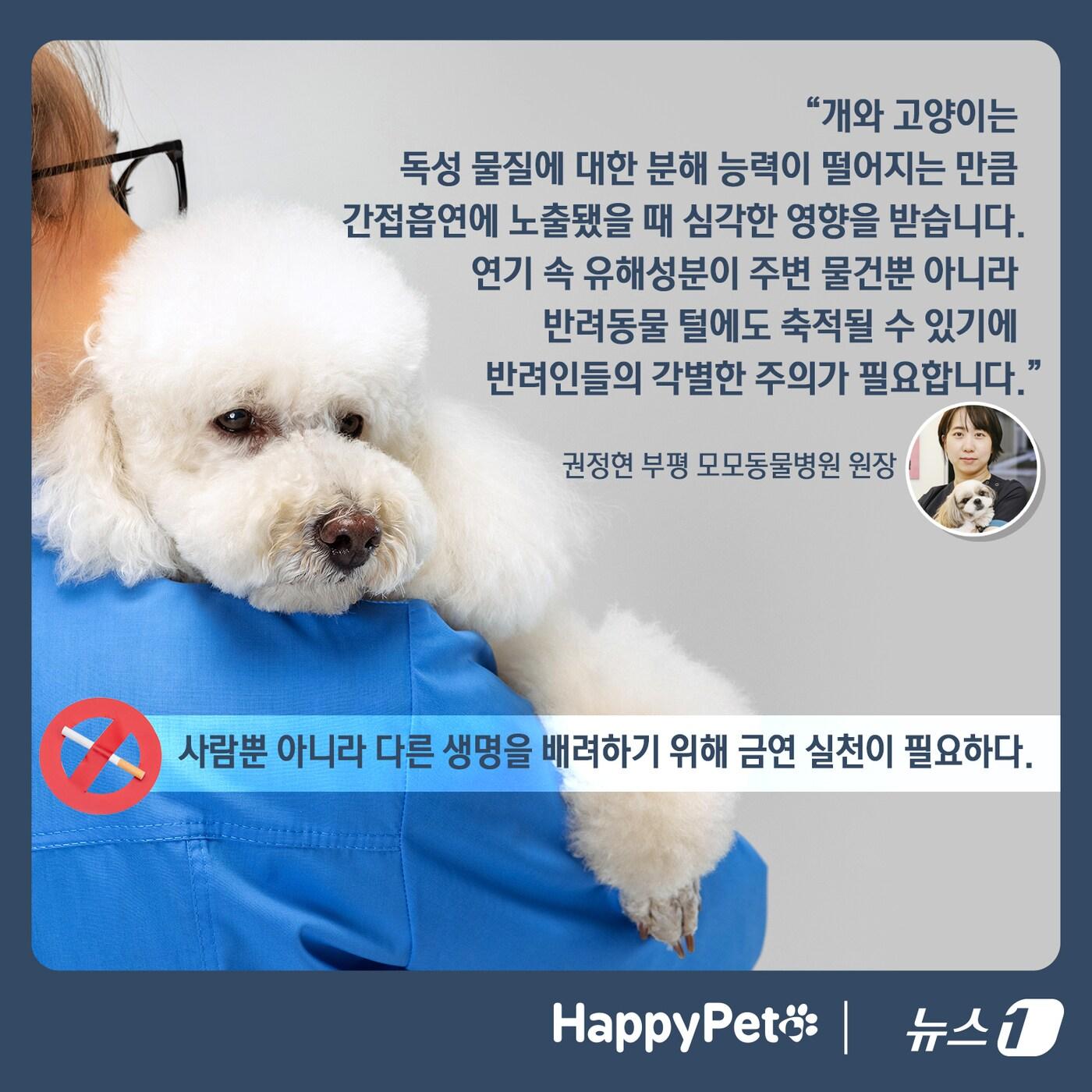 반려동물에게도 위험한 간접흡연 펫카드 ⓒ 뉴스1