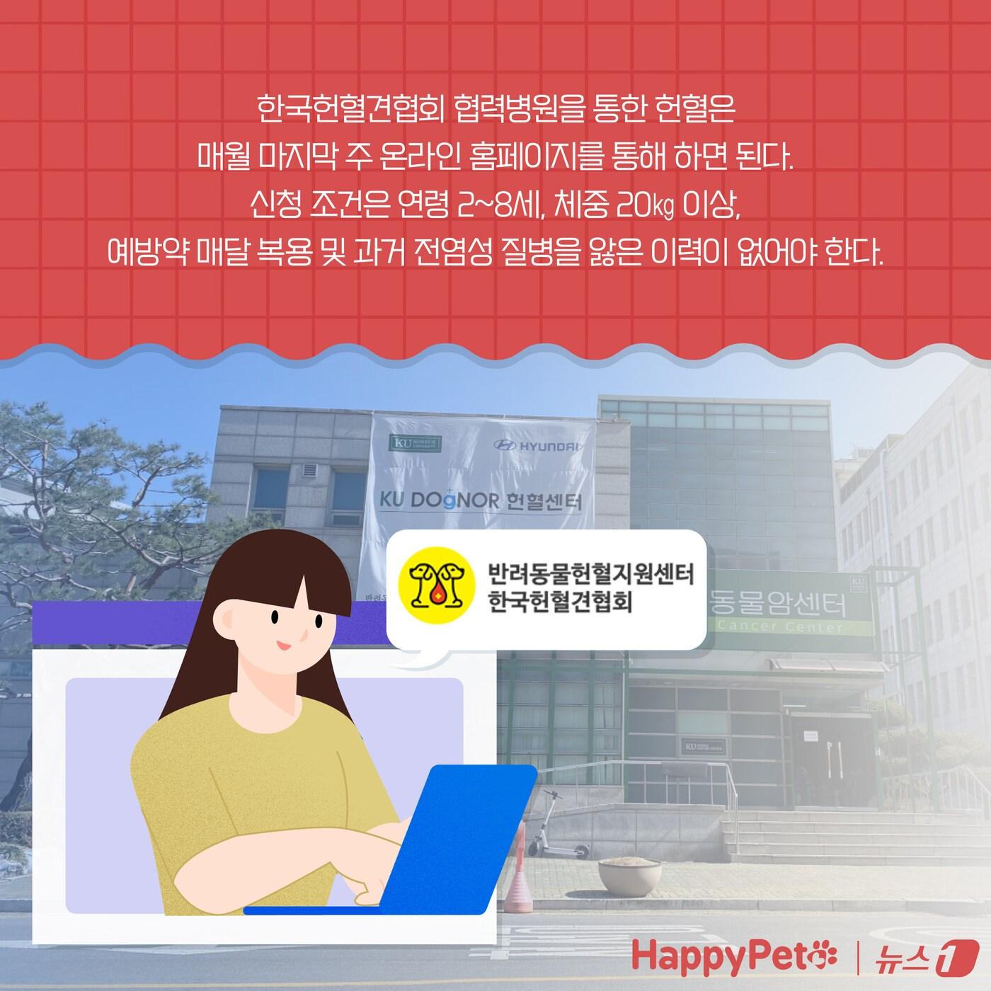 복지와 건강 모두 챙기개&#39;…반려동물 헌혈에 동참하세요 ⓒ News1 양혜림 디자이너